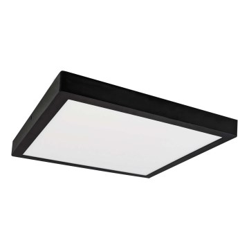 LED Φωτιστικό οροφής FENIX LED/24W/230V 3800K 29,8 cm