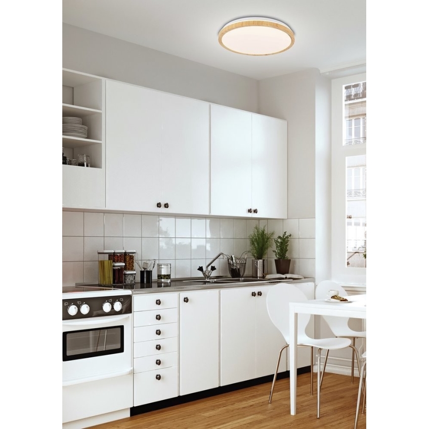LED Φωτιστικό οροφής GANDAVA LED/24W/230V