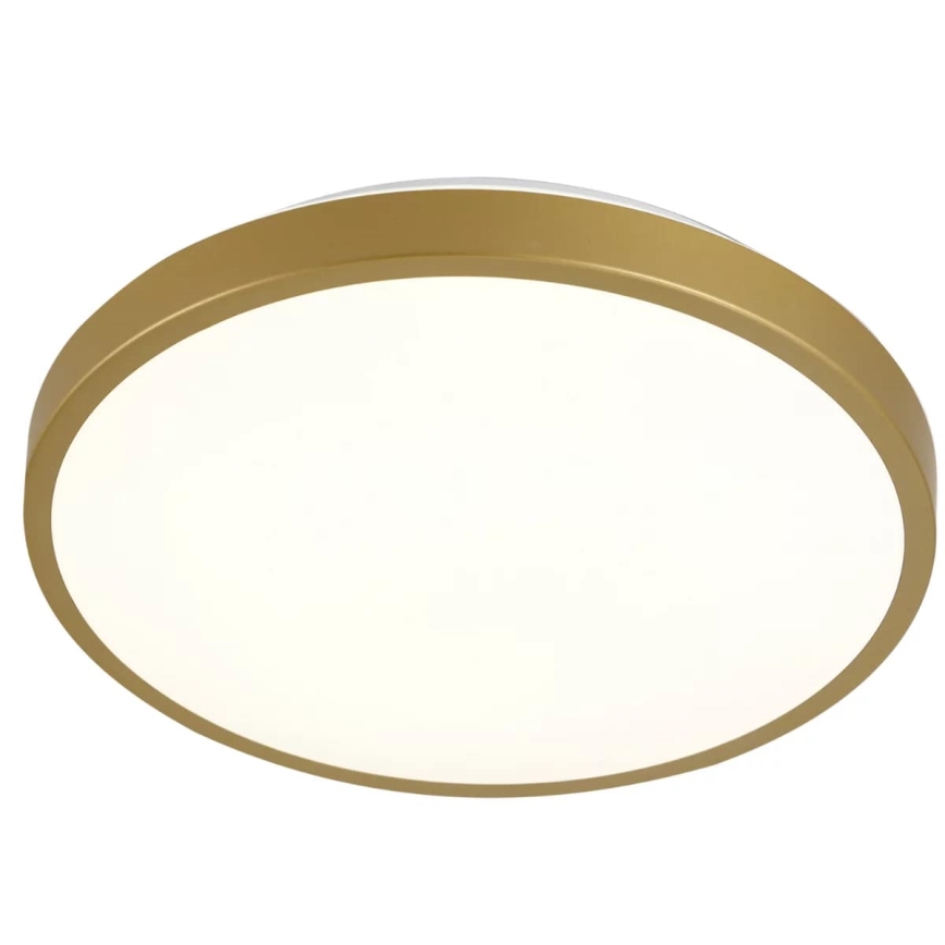 LED Φωτιστικό οροφής KERN LED/15W/230V δ. 29 cm