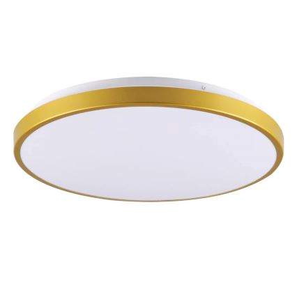LED Φωτιστικό οροφής KERN LED/15W/230V δ. 29 cm