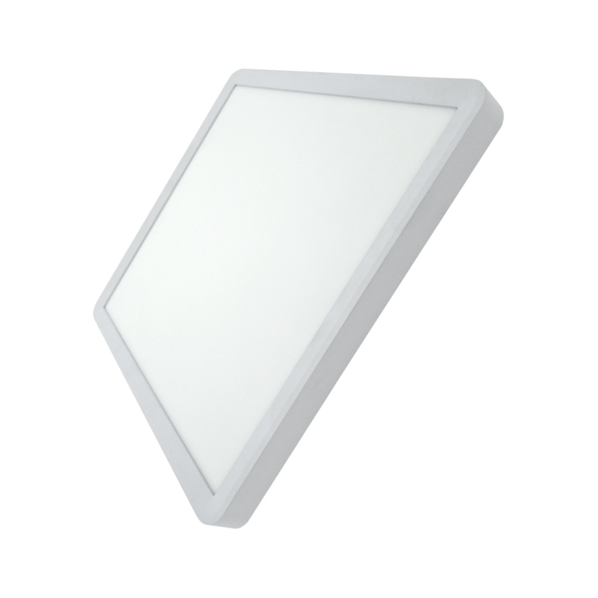 LED Φωτιστικό οροφής LED/24W/230V 3000/4000/6500K 30x30 cm λευκό