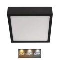 LED Φωτιστικό οροφής NEXXO LED/12,5W/230V 3000/3500/4000K 17x17 cm μαύρο