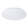 LED Φωτιστικό οροφής PLAIN LED/15W/230V 3000K στρογγυλό