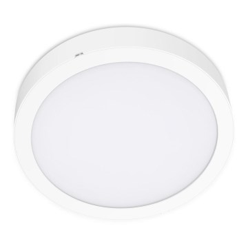 LED Φωτιστικό οροφής SIGARO CIRCLE LED/24W/230V 4000K IP40