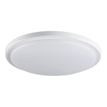 LED φωτιστικό οροφής μπάνιου ORTE LED/24W/230V IP54