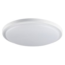 LED φωτιστικό οροφής μπάνιου με αισθητήρα ORTE LED/24W/230V IP54