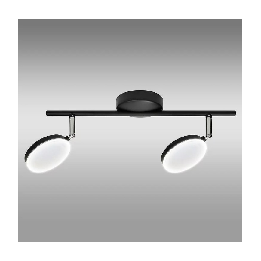 LED Φωτιστικό σποτ CAPRI 2xLED/5W/230V
