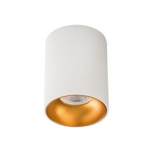 LED Φωτιστικό σποτ RITI 1xGU10/10W/230V λευκό/χρυσαφί