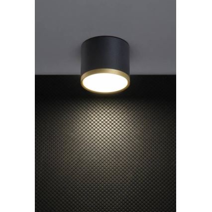 LED Φωτιστικό Τοίχου TUBA LED/9W/230V μαύρο/χρυσό