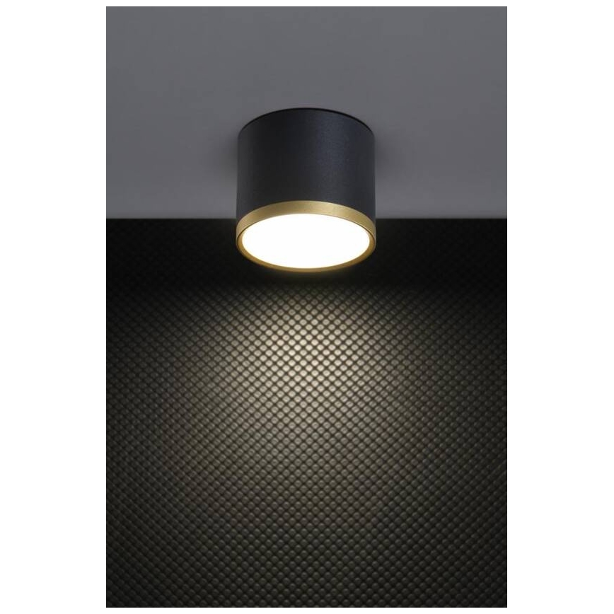 LED Φωτιστικό Τοίχου TUBA LED/9W/230V μαύρο/χρυσό