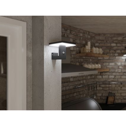 LED Φωτιστικό τοίχου εξωτερικού χώρου με αισθητήρα BARI LED/10W/230V 4000K IP54 ανθρακί