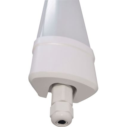 LED Φωτιστικό φθορίου DAISY LED/40W/230V 4000K IP65