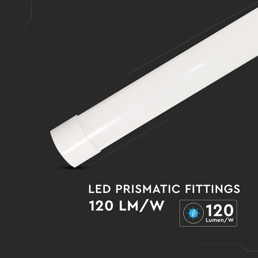 LED Φωτιστικό φθορίου LED/20W/230V 6500K 60 cm λευκό