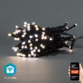 LED Χριστουγεννιάτικη γιρλάντα 50×LED/8 λειτουργίες 5 m IP65 Wi-Fi Tuya