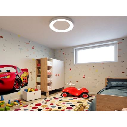 LED2 - Φωτιστικό οροφής LED BELLA LED/40W/230V  3000/4000 K λευκό