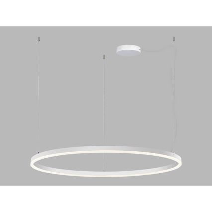 LED2 - Led Dimmable κρεμαστό φωτιστικό οροφής CIRCLE LED/80W/230V 3000K/4000K διάμετρος 100 cm λευκό