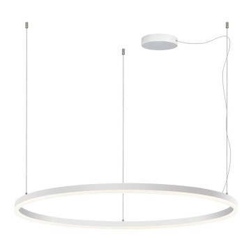 LED2 - Led Dimmable κρεμαστό φωτιστικό οροφής CIRCLE LED/80W/230V 3000K/4000K διάμετρος 100 cm λευκό