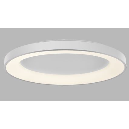 LED2 - LED Dimmable φωτιστικό οροφής BELLA LED/80W/230V 3000K/4000K λευκό