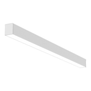 LED2 - LED Dimmable φωτιστικό οροφής NOLI LED/40W/230V 3000K/3500K/4000K λευκό