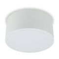 LED2 - LED Φωτιστικό οροφής BUTTON LED/17W/230V λευκό