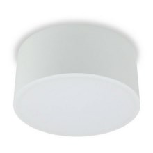 LED2 - LED Φωτιστικό οροφής BUTTON LED/17W/230V λευκό