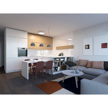 LED2 - LED Ρυθμιζόμενο φωτιστικό οροφής MONO LED/100W/230V 3000K/4000K λευκό