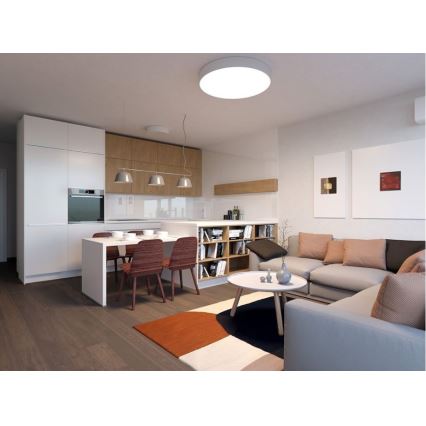 LED2 - LED Οροφιαίο φωτιστικό MONO LED/60W/230V 3000/4000K λευκό