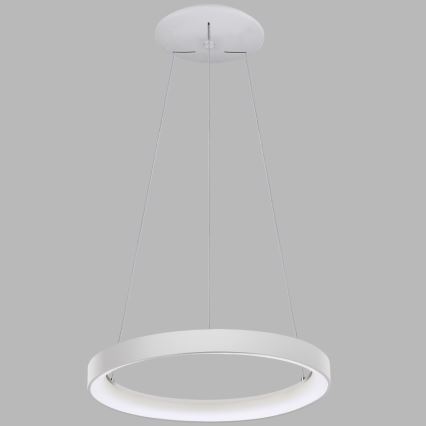 LED2 - Πολύφωτο LED με συρματόσχοινο BELLA LED/48W/230V 3000K/4000K λευκό