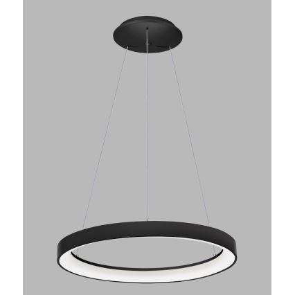 LED2 - Πολύφωτο LED με συρματόσχοινο BELLA LED/48W/230V 3000K/4000K μαύρο