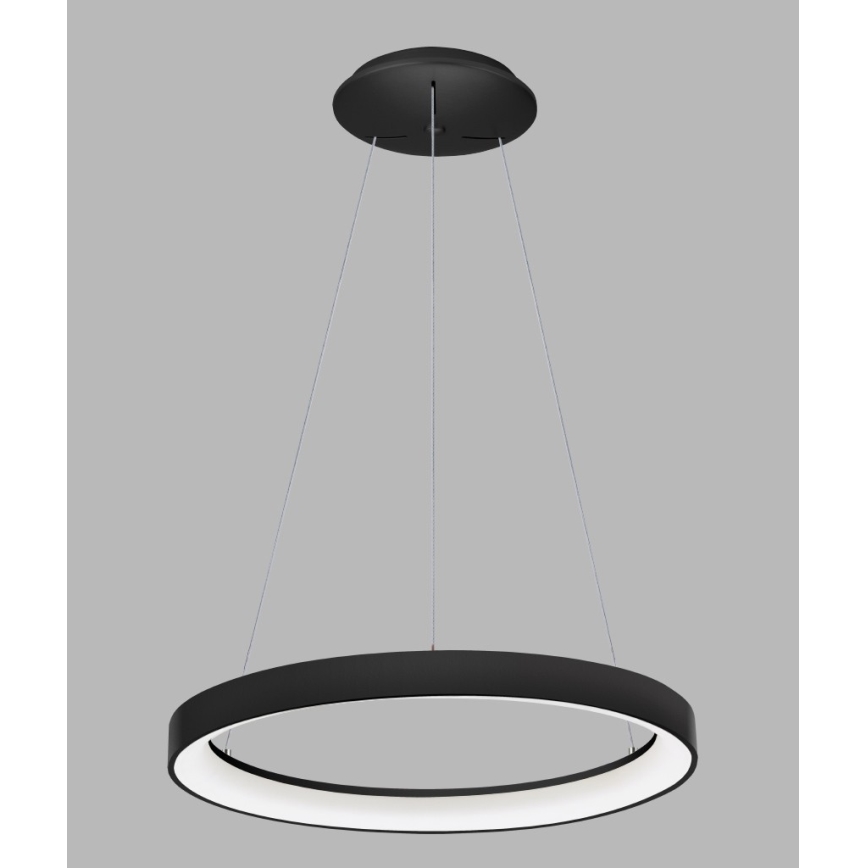 LED2 - Πολύφωτο LED με συρματόσχοινο BELLA LED/48W/230V 3000K/4000K μαύρο
