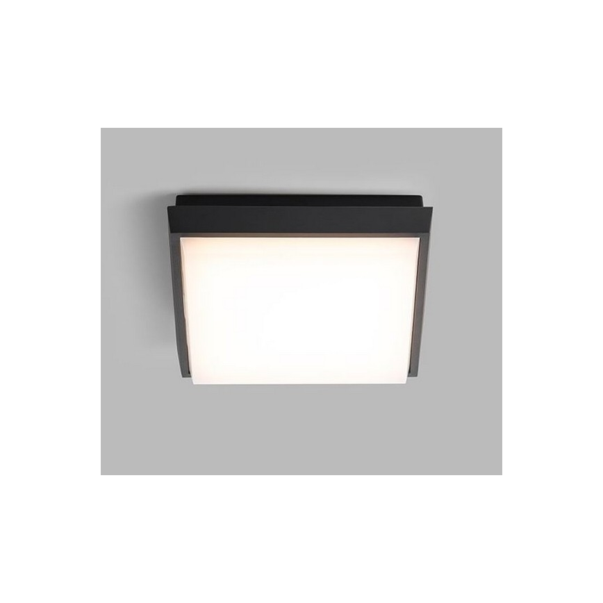 LED2 -  Φωτιστικό οροφής εξωτερικού χώρου LED QUADO LED/10W/230V ανθρακί IP54