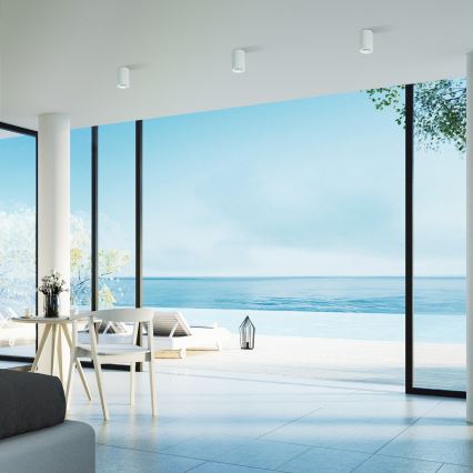 Ledvance - Φωτιστικό σποτ TUBA 1xGU10/50W/230V