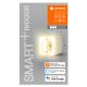 Ledvance - LED Dimmable έξυπνη πρίζα με φωτισμό SMART+ PLUG 3680W Wi-Fi