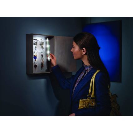 Ledvance - LED  φωτιστικό προσανατολισμού LUMISTIXX 4xLED/0,6W/4,5V