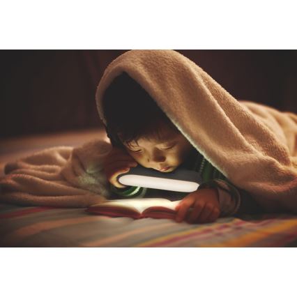 Ledvance - Φωτισμός επίπλων LED με αισθητήρα MOBILE LED/1,2W/5V 500 mAh 4000K