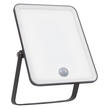 Ledvance - LED Εξωτερικός Προβολέας με Αισθητήρα FLOODLIGHT LED/30W/230V 6500K IP65