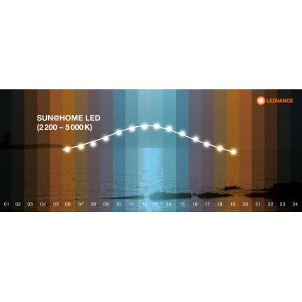 Ledvance - Ρυθμιζόμενο πάνελ LED SUN@HOME LED/35W/230V 2200-5000K CRI 95 Wi-Fi