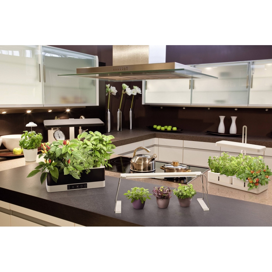 Ledvance - Ρυθμιζόμενος LED φωτισμός εσωτερικού χώρου για φυτά GARDEN KIT LED/24W/230V