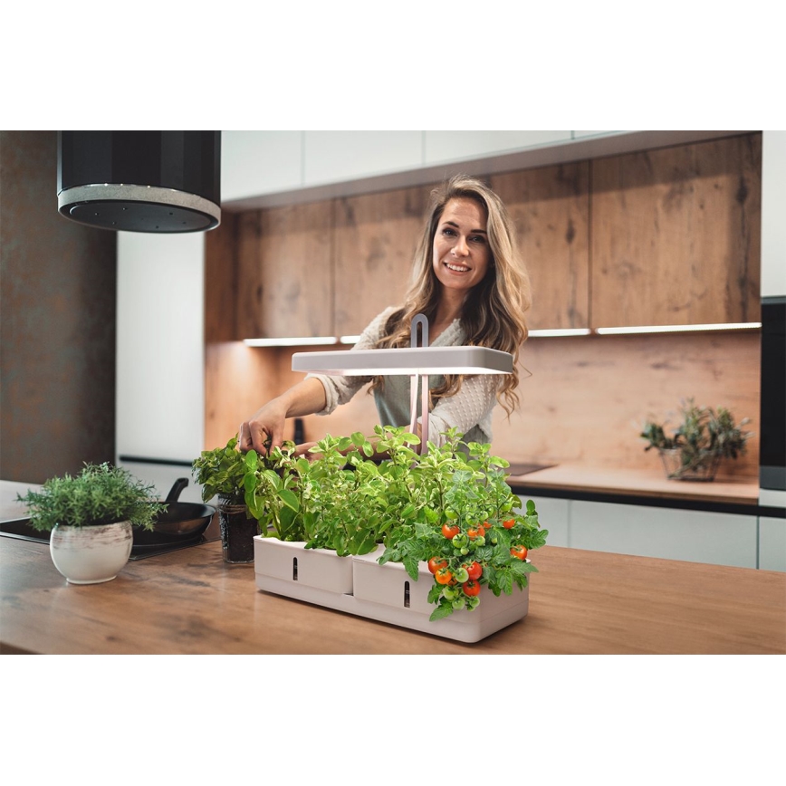 Ledvance - Εσωτερικό LED φως για φυτά GARDEN KIT LED/24W/230V