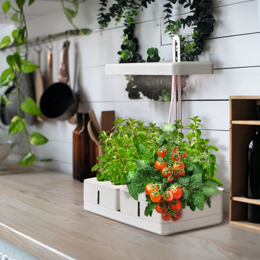 Ledvance - Εσωτερικό LED φως για φυτά GARDEN KIT LED/24W/230V