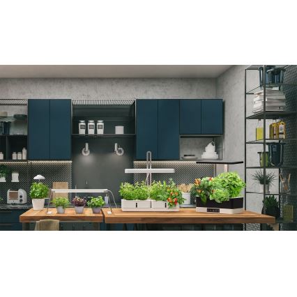 Ledvance - Εσωτερικό LED φως για φυτά GARDEN KIT LED/24W/230V