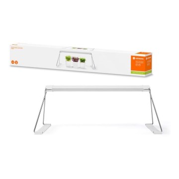 Ledvance - Εσωτερικό LED φως για φυτά GARDEN LIGHT LED/14W/230V