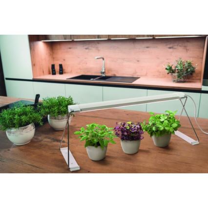 Ledvance - Εσωτερικό LED φως για φυτά GARDEN LIGHT LED/14W/230V