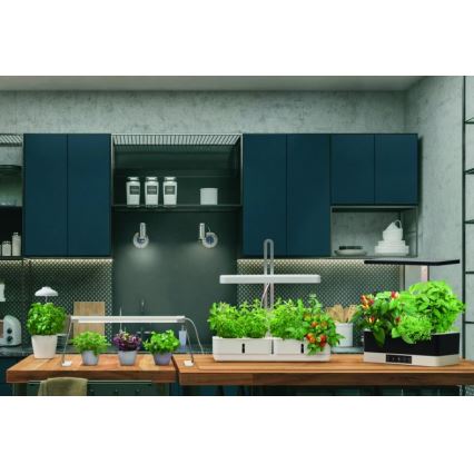 Ledvance - Εσωτερικό LED φως για φυτά GARDEN LIGHT LED/14W/230V