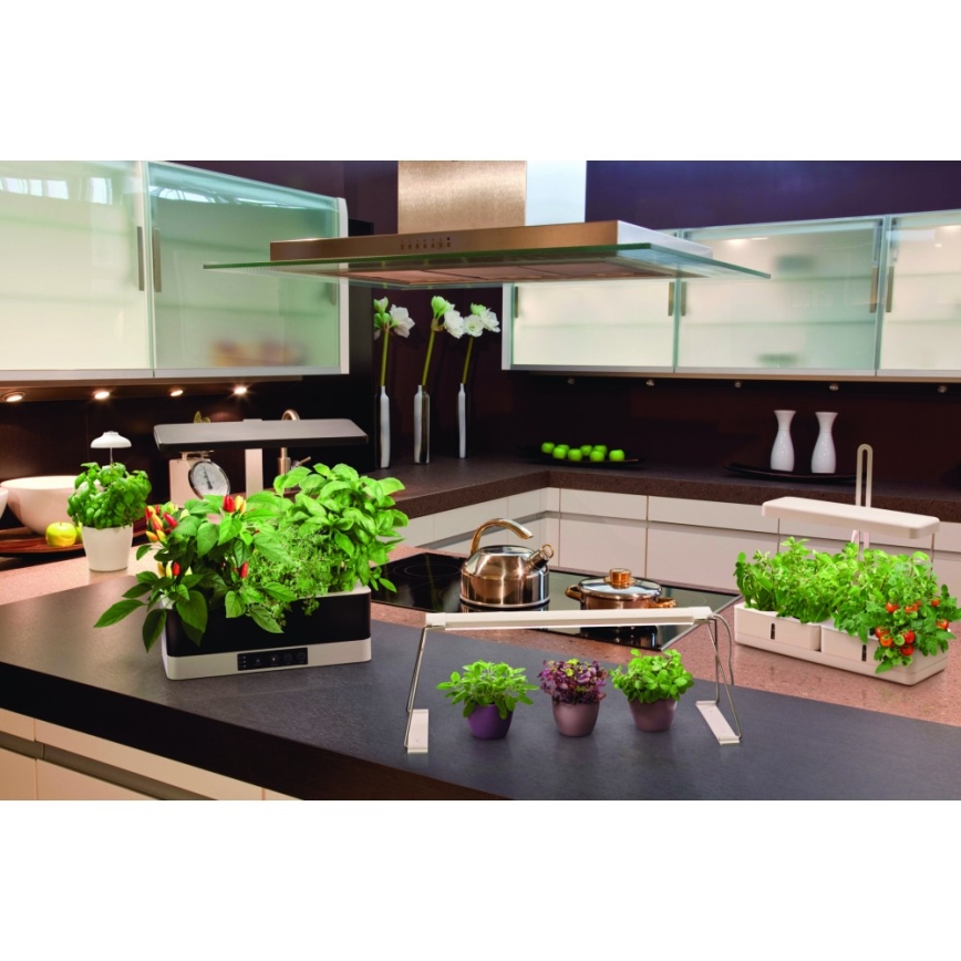 Ledvance - Εσωτερικό LED φως για φυτά GARDEN LIGHT LED/5W/5V