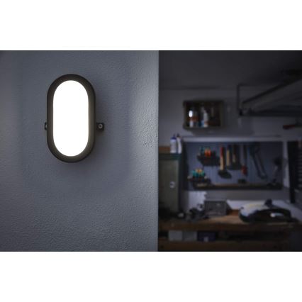 Ledvance - Επιτοίχιο φωτιστικό εξωτερικού χώρου LED BULKHEAD LED/6W/230V IP54 μαύρο