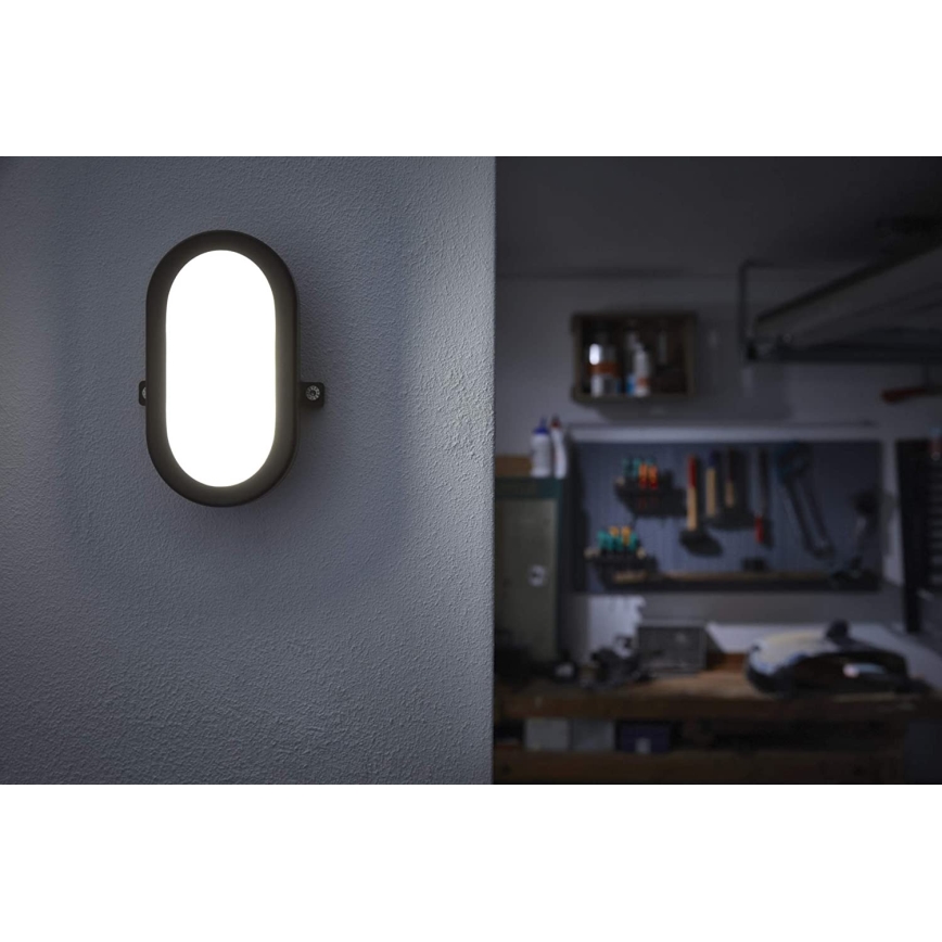 Ledvance - Επιτοίχιο φωτιστικό εξωτερικού χώρου LED BULKHEAD LED/6W/230V IP54 μαύρο