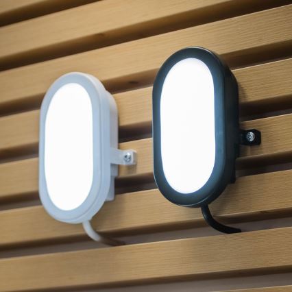 Ledvance - Επιτοίχιο φωτιστικό εξωτερικού χώρου LED BULKHEAD LED/6W/230V IP54 μαύρο