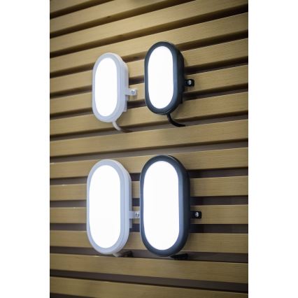 Ledvance - Επιτοίχιο φωτιστικό εξωτερικού χώρου LED BULKHEAD LED/6W/230V IP54 μαύρο