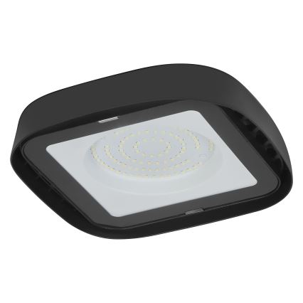 Ledvance - Βιομηχανικό φωτιστικό οροφής LED HIGHBAY LED/80W/230V IP65 6500K